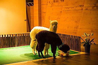 《仙剑奇侠传四：重制版》动捕照 采用虚幻引擎开发